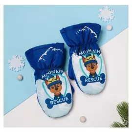 Рукавицы (Варежки) зимние PAW Patrol "Mountain" р-р 14 (5-6 лет), синий