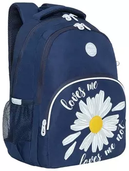 Рюкзак Grizzly школьный, анатомическая спинка, 2 отделения, для девочек, "Camomile", 40х27х20 см, Rg-260-2/1