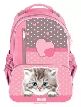 Рюкзак школьный с эргономичной спинкой, Calligrata, 37 х 26 х 13, «Котёнок с горошком»