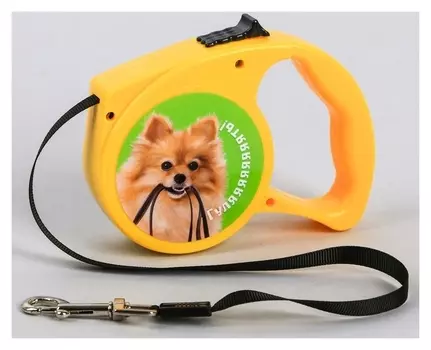 Рулетка «Гулять» 3 м