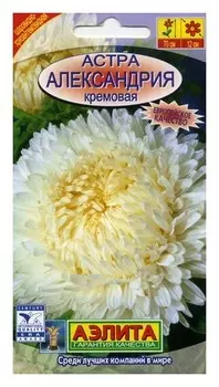 Семена. астра "Александрия кремовая", однолетний