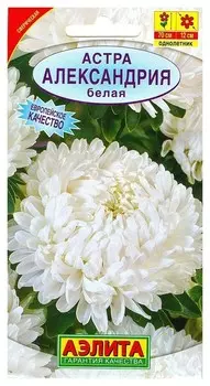 Семена Астра белая "Александрия"