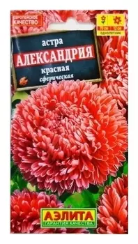 Семена Астра красная "Александрия"