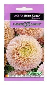 Семена. астра "Леди корал", бежевая (Вес: 0,1 г)