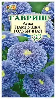 Семена. астра "Пампушка", голубичная (Вес: 0,3 г)