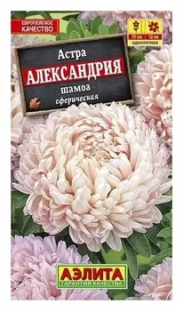 Семена Астра шамоа "Александрия"