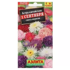 Семена Астра - смесь окрасок "1 сентября"