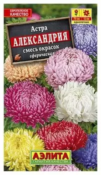 Семена Астра - смесь окрасок "Александрия"