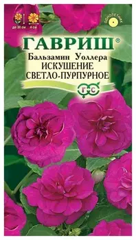Семена. бальзамин уоллера "Искушение светло-пурпурное F1" (5 штук)