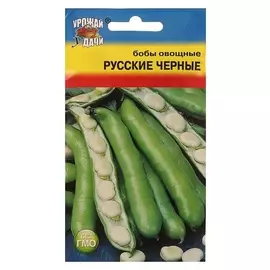 Семена бобы "Русские чёрные", 6 шт