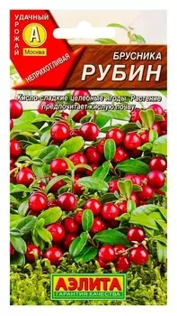Семена брусника "Рубин", 0,01 г