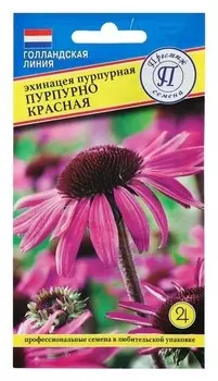 Семена цветов эхинацея пурпурная пурпурно красная, Мн, 20 шт