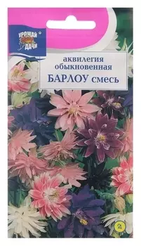 Семена цветов аквилегия махровая "Барлоу смесь", 0,05 г