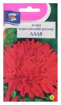 Семена цветов астра "Алая", 0,1 г