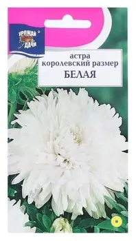 Семена цветов астра "Белая", 0,1 г