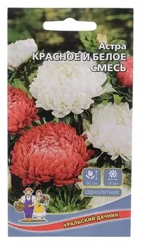 Семена цветов астра "Красное и белое пионовидная", 0,3 г