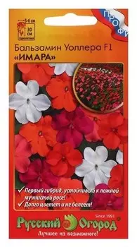 Семена цветов бальзамин "Уоллера", F1, имара, смесь, 5 шт