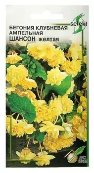 Семена цветов бегония ампельная "Шансон" клубневая, желтая