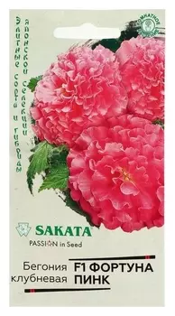 Семена цветов бегония "Фортуна пинк", F1, клубневая, серия эксклюзив, гранулы, 4 шт