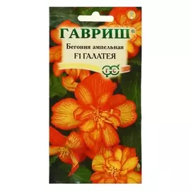 Семена цветов бегония "Галатея", F1, клубневая, гранулы, 4 шт