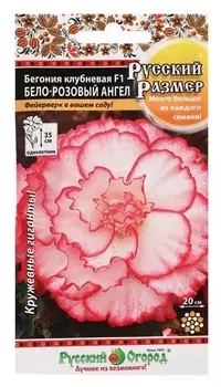 Семена цветов бегония клубневая "Бело-розовый ангел", F1, серия русский размер, 5 шт