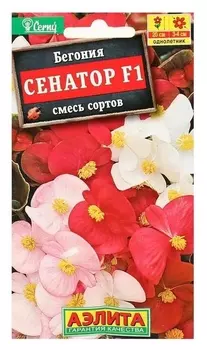 Семена цветов бегония вечноцветущая "Сенатор F1", смесь, О, 10 шт