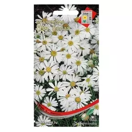 Семена цветов брахикома "Ева" белая, 180 шт