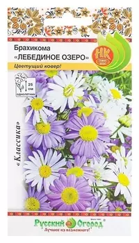Семена цветов брахикома "Лебединое озеро", серия русский огород, О, 0,1 г