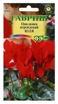 Семена цветов цикламен "Юля", персидский, 3 шт