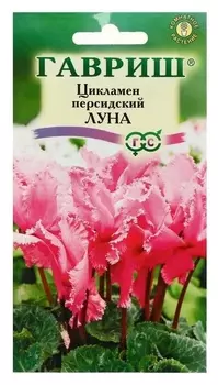 Семена цветов цикламен "Луна", персидский, 3 шт