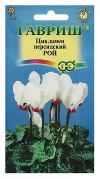 Семена цветов цикламен "Рой", персидский, 3 шт