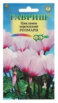 Семена цветов цикламен "Розмари", персидский, 3 шт