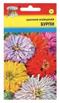Семена цветов цинния изящная "Бурпи", 0,3 г