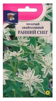Семена цветов Цв молочай окаймленный "Ранний снег",0,2 гр