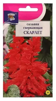 Семена цветов Цв сальвия сверк. "Скарлет",0,1 гр