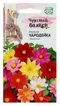 Семена цветов георгина "Чародейка", смесь, серия чудесный балкон, 0,3 г