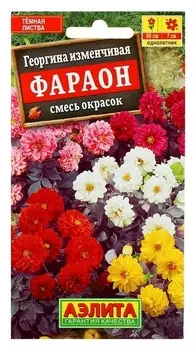 Семена цветов георгина "Фараон", смесь окрасок, О, 0,3 г