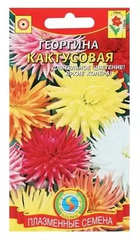 Семена цветов георгина "Кактусовая", смесь, О, 13 шт