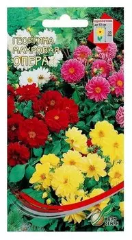 Семена цветов георгина махровая "Опера" 15 шт