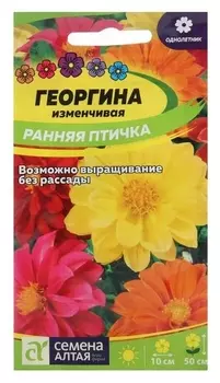 Семена цветов георгина "Ранняя птичка", сем. алт, ц/п, 0,3 г