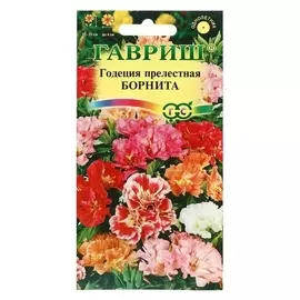 Семена цветов годеция "Борнита",низкая, смесь, 0,1 г