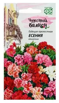 Семена цветов годеция "Есения", низкая, смесь, серия чудесный балкон, 0,1 г