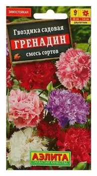Семена цветов гвоздика садовая "Гренадин", смесь окрасок, Дв, 0,1 г
