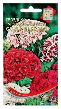 Семена цветов гвоздика "Совершенство", 40 шт