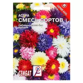 Семена цветов хххl астра смесь сортов