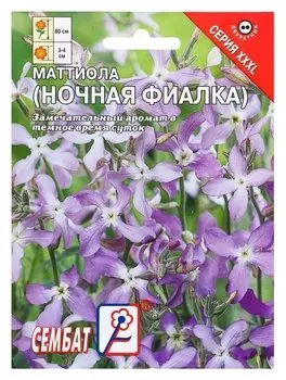 Семена цветов хххl маттиола ночная фиалка