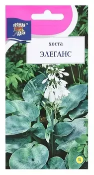 Семена цветов хоста "Элеганс", 0.02 гр.