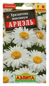 Семена цветов хризантема "Ариэль", Мн, 0,1 г