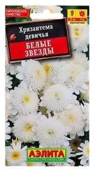 Семена цветов хризантема девичья "Белые звезды". О, 0,1 г