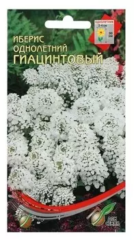 Семена цветов иберис гиацинтовый, однолетник, 70 шт